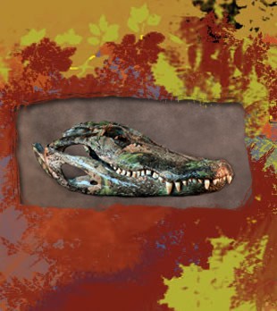 alligator camo