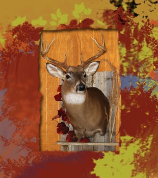 deer on barnwood with leaves